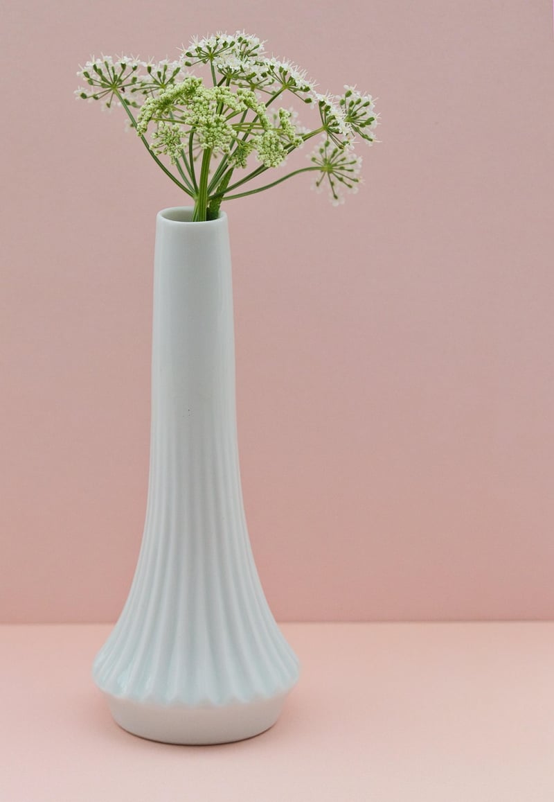 Whimsical Plants